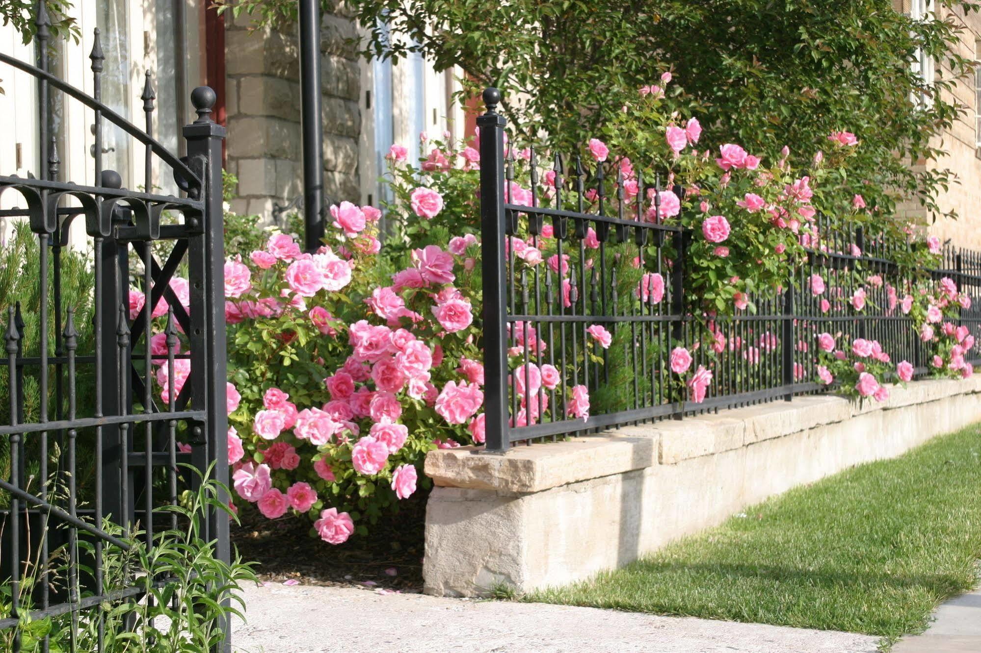 Nagle Warren Mansion B&B Cheyenne Exteriér fotografie
